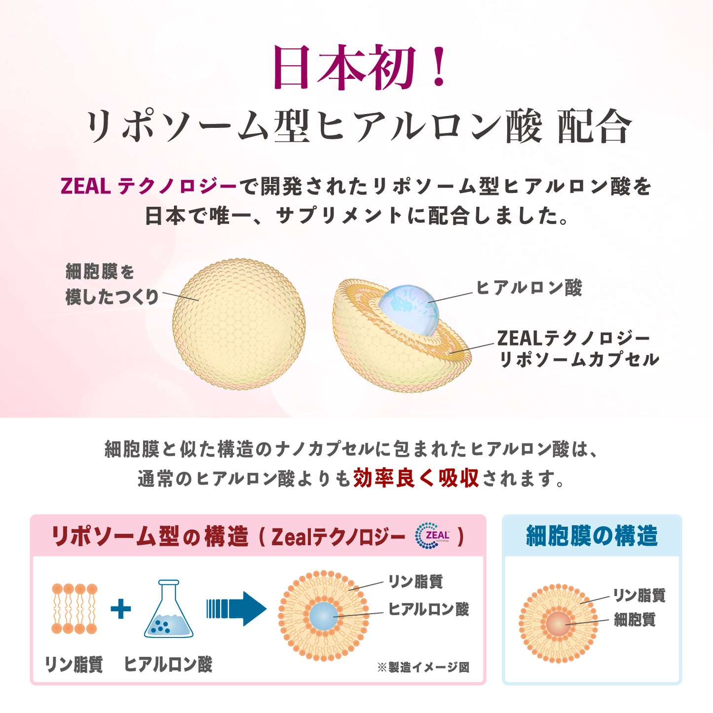 飲むヒアルロン酸 プレミアム11 （30粒／10粒）