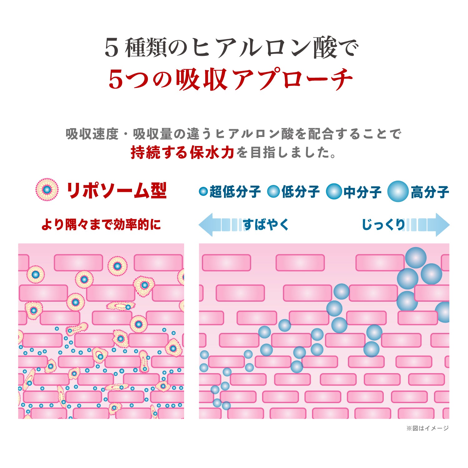 飲むヒアルロン酸 プレミアム11 （30粒／10粒）