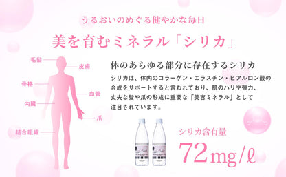 ビューティーウォーター　500ml  （24本／48本）