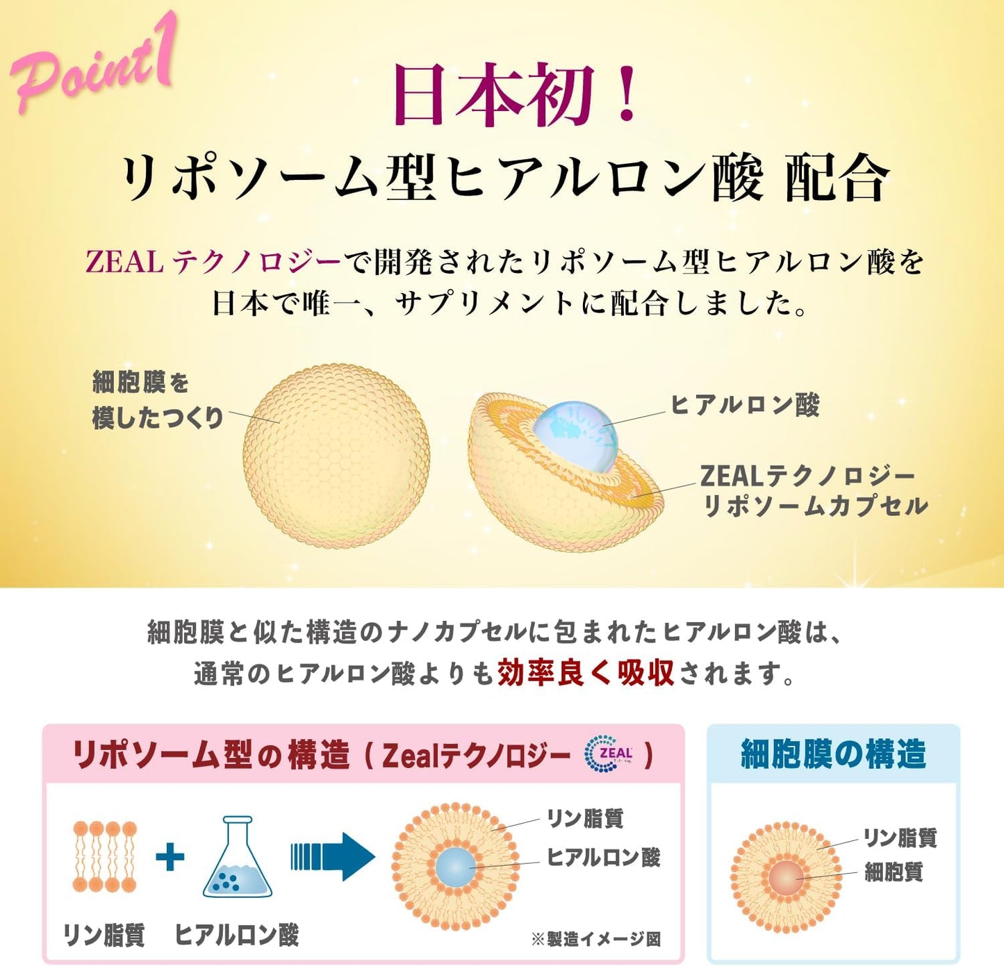 飲むヒアルロン酸 プレミアム11 （30粒／10粒）