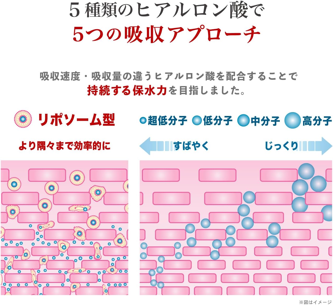 飲むヒアルロン酸 プレミアム11 （30粒／10粒）