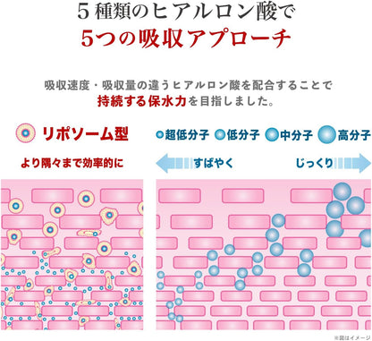 飲むヒアルロン酸 プレミアム11 （30粒／10粒）