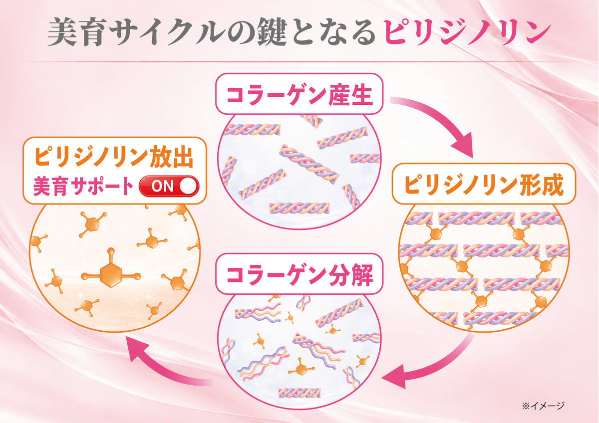 UMU_cycle.jpg__PID:bc647124-9579-4c88-873e-4afe164d5b0d