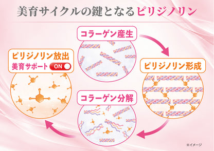 UMU_cycle.jpg__PID:bc647124-9579-4c88-873e-4afe164d5b0d