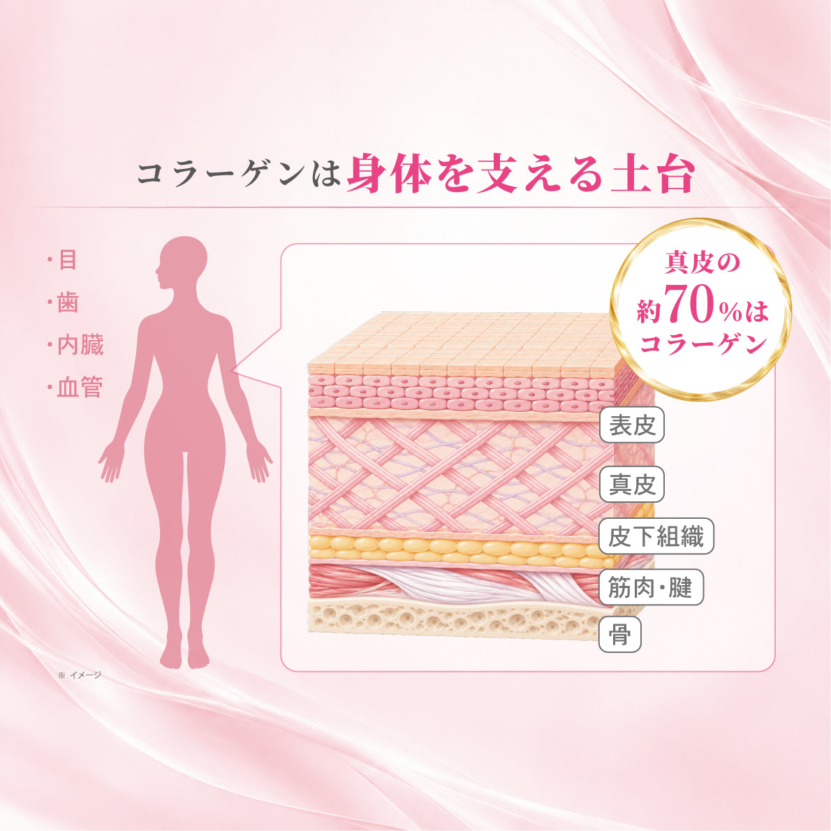 UMUコラーゲン 50mL×30本